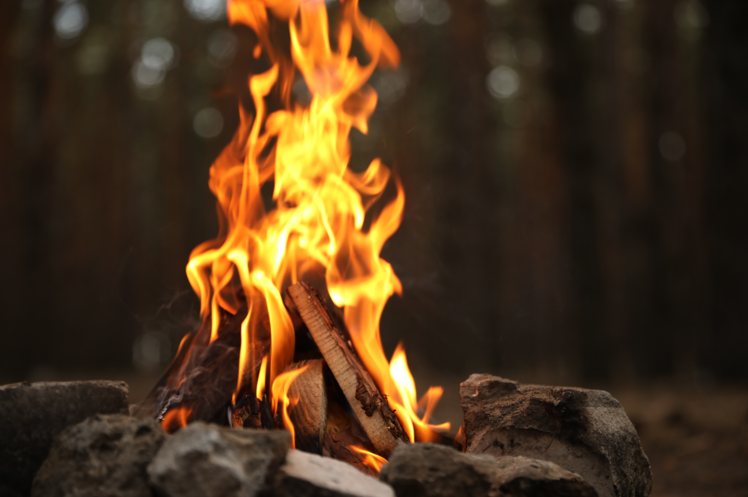 Brasa som brinner med björkved.
