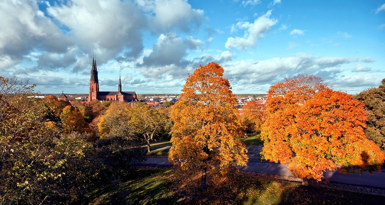 Bild på höstträd och kyrkan i uppsala.