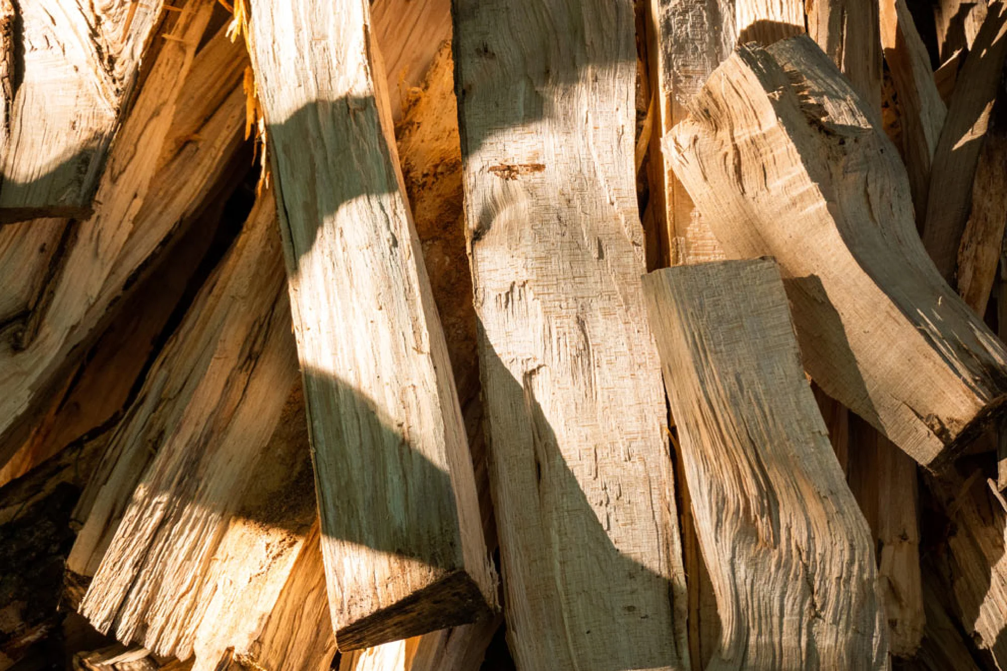 Allt du behöver veta om torr ved 2026